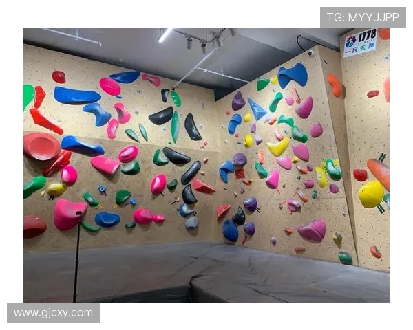 成都攀岩队灵活性分析及其对训练效果的影响研究